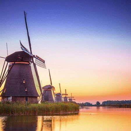 B&B Oostzomerland Mijnsheerenland Экстерьер фото