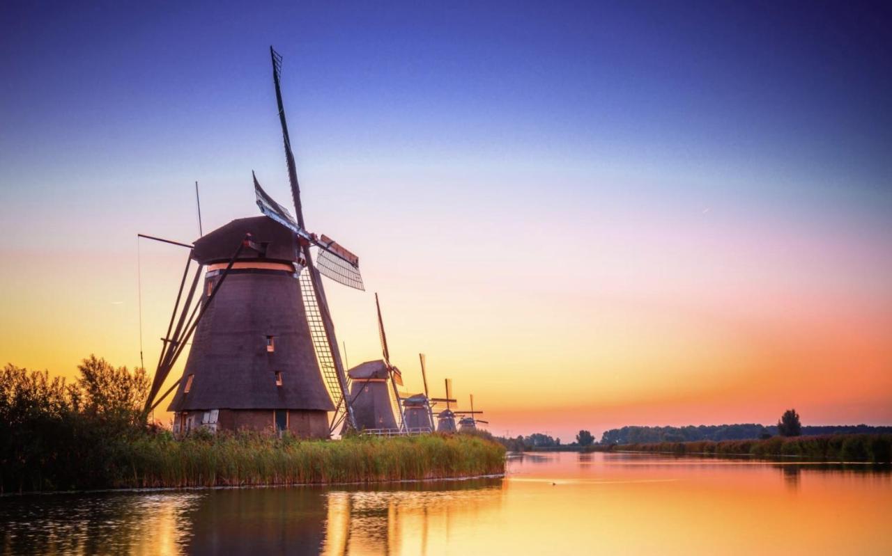 B&B Oostzomerland Mijnsheerenland Экстерьер фото