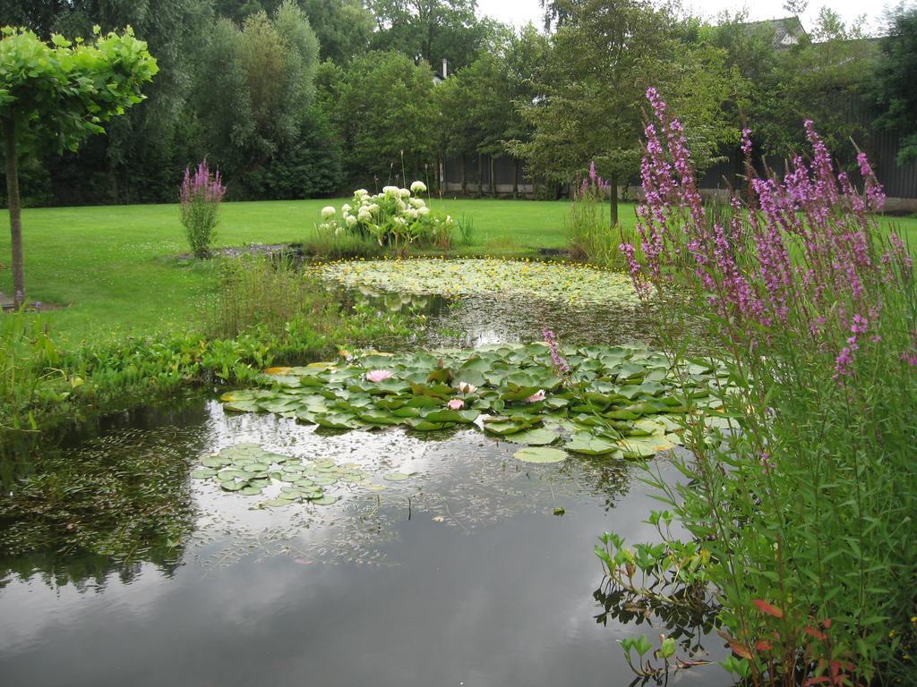 B&B Oostzomerland Mijnsheerenland Экстерьер фото